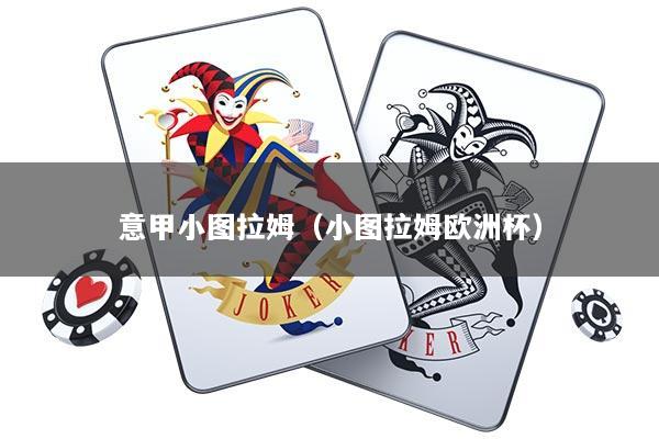 意甲小图拉姆（小图拉姆欧洲杯）