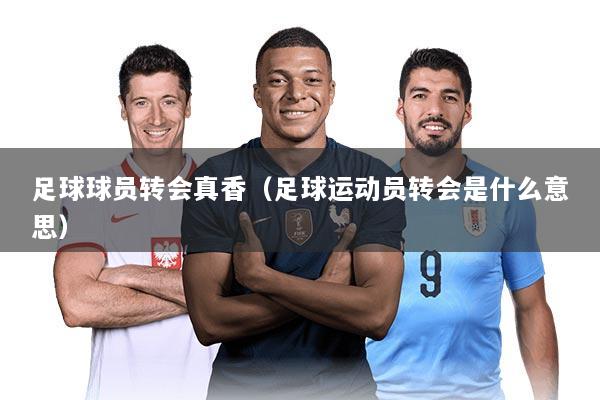 足球球员转会真香（足球运动员转会是什么意思）