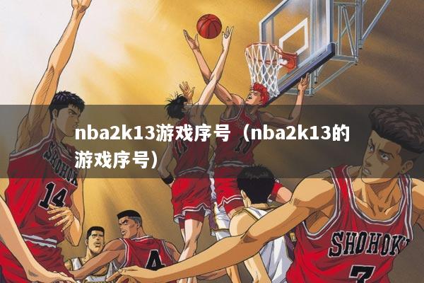 nba2k13游戏序号（nba2k13的游戏序号）