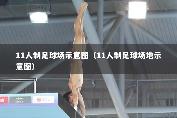 11人制足球场示意图（11人制足球场地示意图）